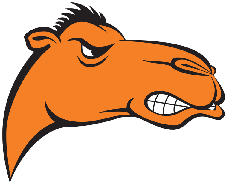 Campbell Fighting Camels 2005-2007 Alternate Logo diy DTF decal sticker